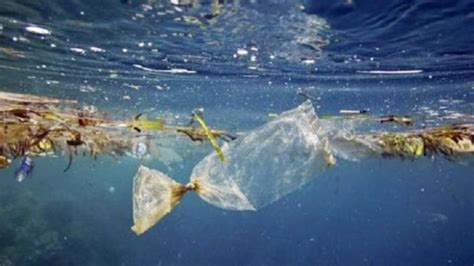 Menjaga Laut dari Sampah Plastik (Memperingati Hari Laut Sedunia ...