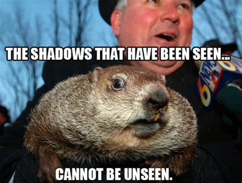 10 Groundhog Day Memes That Celebrate The Ridiculousness Of This Tradition