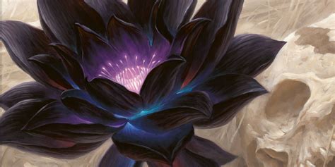 MTG: How Many Black Lotus Cards Remain?