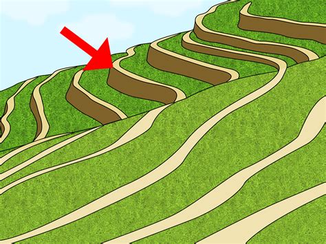 How to Prevent Soil Erosion: 15 Steps (with Pictures) - wikiHow