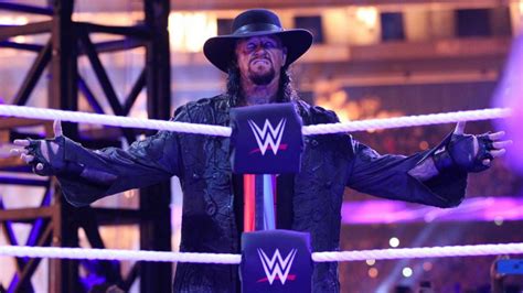 Undertaker vs. Triple H Photos – Online World of Wrestling