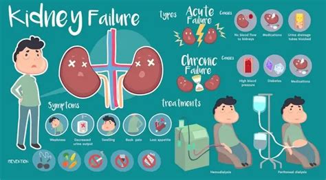 Difference Between Acute and Chronic Kidney Failure | Wockhardt Hospitals