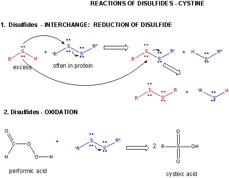 Chemistry of Cystine