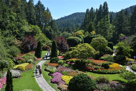 The Butchart Gardens is one of the top tourist attractions in Victoria ...