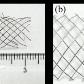 Physical map of the stent. (a) Stent size (left: bare-metal stent ...