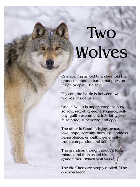 The Story of Two Wolves... An old Cherokee told his grandson, “My Son ...