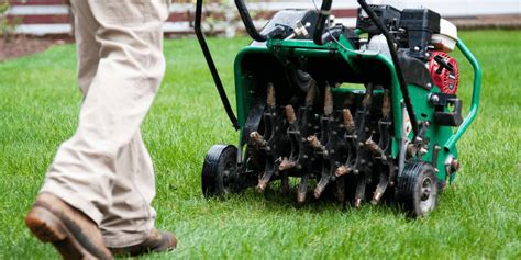 How and When to Aerate Lawn