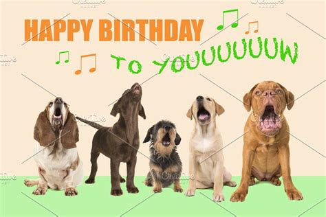 Dogs singing Happy Birthday | Happy birthday dog, Happy birthday ...