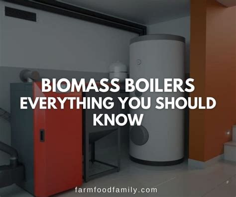 How Does a Biomass Boiler Work? (Cost, Pros and Cons)