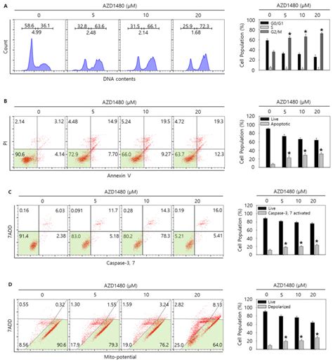 Activity Assay A Caspase 3 7 Assay Kit | Merck KGaA | Bioz