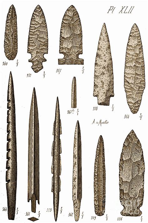 Mesolithic And Neolithic Flint Tools Photograph by Science Source