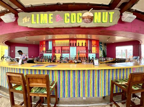 Complete Guide to the Amplified Oasis of the Seas Bars With Menus