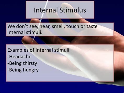 Stimuli lesson 3