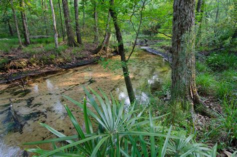 Camp Blanding State Wildlife Management Area Map - Florida - Mapcarta