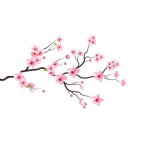 77 Background Japanese Flowers Pictures - MyWeb