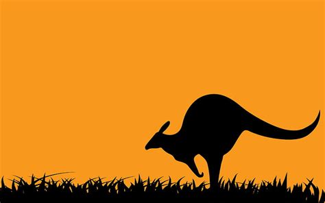 Kangaroo !, australia, sunset, kangaroo, jumping, HD wallpaper | Peakpx