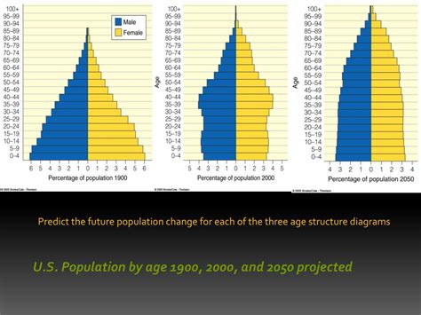 PPT - Age structure diagrams PowerPoint Presentation, free download ...