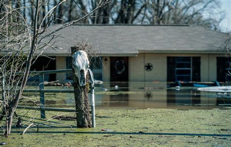 Mississippi flooding: Before and after photos from the Delta