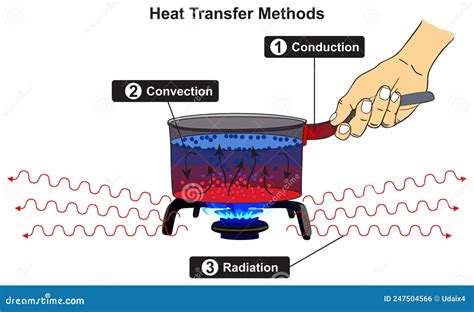 Heat Transfer Methods Infographic Diagram Conduction Convection ...