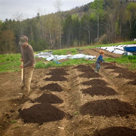 Spring Garden Prep: when and how to work the soil - Katie Spring