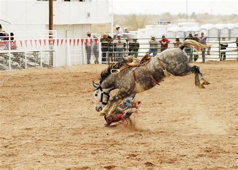 Saddle bronc 2 — Stock Photo © photojimdp #3085715