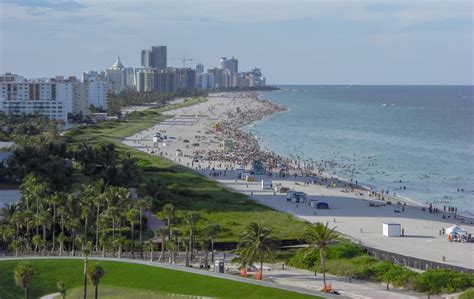 Swim with Dolphins near Miami Beach (800) 667-5524