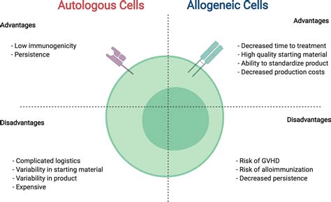 Frontiers | Allogeneic CAR Cell Therapy—More Than a Pipe Dream