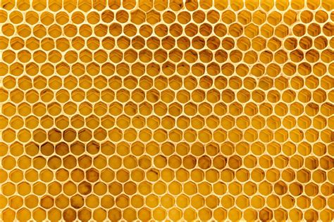 Bee Hive Wallpapers - Wallpaper Cave