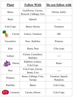 vegetable plant families chart | The Rustic Garden: YeeHaw! Let's do ...