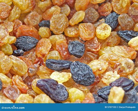 Different raisins stock image. Image of fruit, ingredient - 5707103