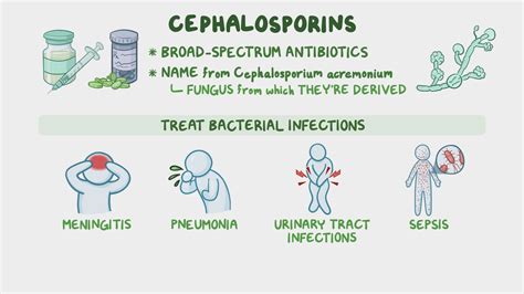 Cell Wall Synthesis Inhibitors: Cephalosporins: Video