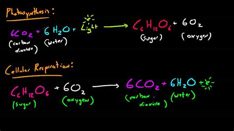 Photosynthesis Equation And Cellular Respiration Equation - Jaleada Mapanfu