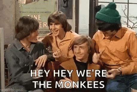 The Monkees GIFs | Tenor