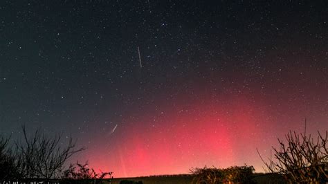 Northern Lights Michigan May 10 2024 - Tami Elenore