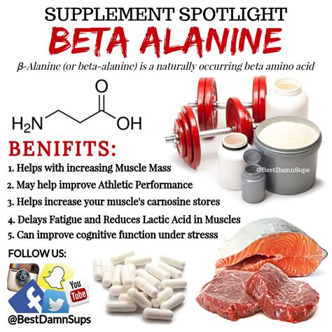 Pin on Supplement Spotlight