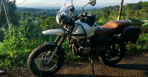 Bajaj Pulsar 150 modified as Royal Enfield Himalayan