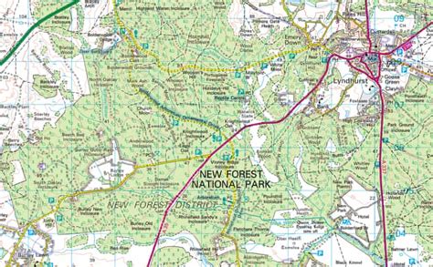 New Forest Map