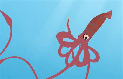 Sperm Whale Vs Giant Squid Wild Kratts