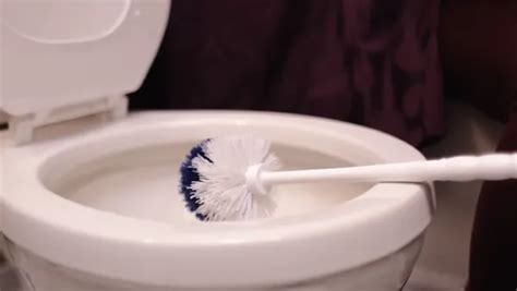 How to Clean Toilet Plunger After Use: 6 Steps [DIY]