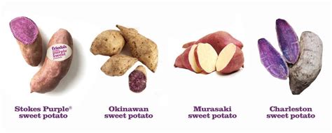 The Ultimate Purple Sweet Potato Guide | Frieda's Inc. - The Specialty ...