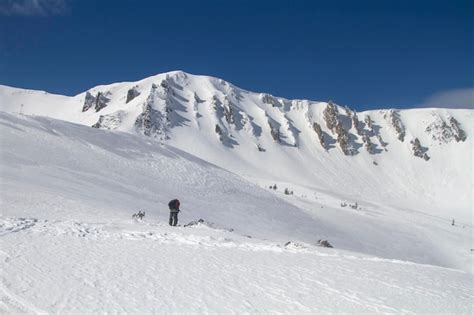 Premium Photo | Ski touring in mountains winter freeride extreme sport ...