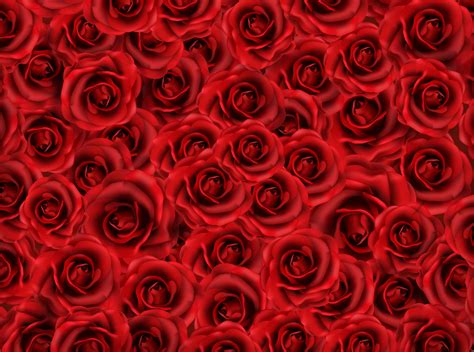 Red Roses Background, Background Pictures, Valentine Background, Heart ...