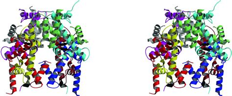 (IUCr) High-resolution structure of the native histone octamer