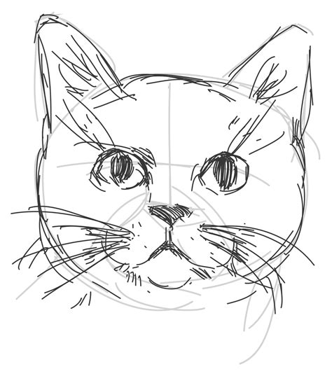 Cat Drawing in Digital Pencil Urns & Memorials Pet Portraits ...