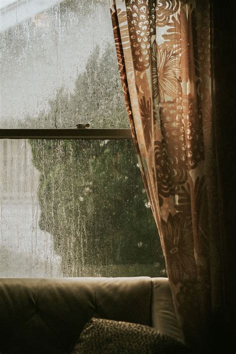 Download premium image of Rainy day outside the window by Felix about ...