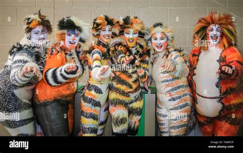 Cats Musical Costumes For Sale