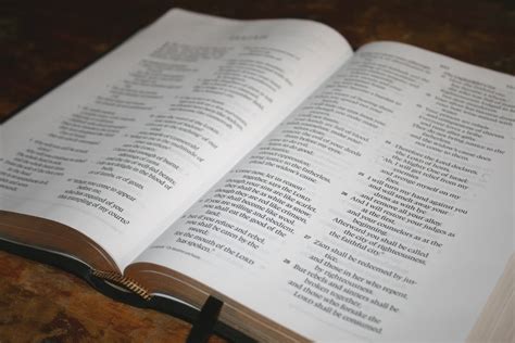 ESV Large Print Wide Margin Bible Review - Bible Buying Guide