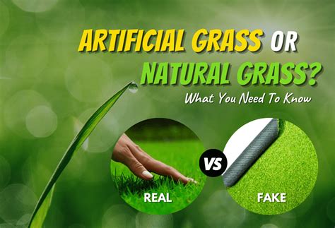 Natural Grass Vs Artificial Turf - ExperiGreen