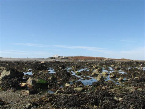 Lihou causeway. Photo courtesy of States of Guernsey (2) - Birds on the ...