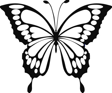 butterfly svg free cricut - Lissa Wilmoth